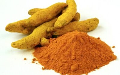 La curcuma aiuta a curare la parodontite