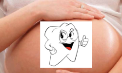 Gengive e fertilità